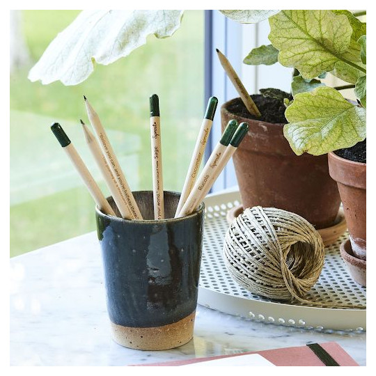 Crayon à graines personnalisable | Goodies écologique entreprise – BCM Goodies