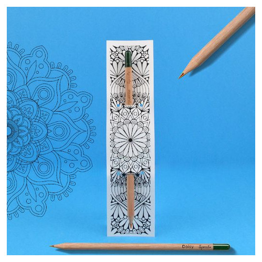 Crayon à graines en bois de tilleul personnalisable avec étui à colorier – Goodie écologique BCM Goodies