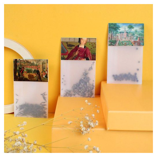 Sachet en papier calque personnalisé avec graines 70x120mm – Goodies d’entreprise B2B