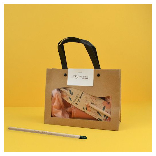 Kit crayon à graines 