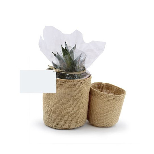 Plante en pot toile de jute personnalisable – Cadeau d’entreprise écologique – Marquage sur étiquette – BCM Goodies