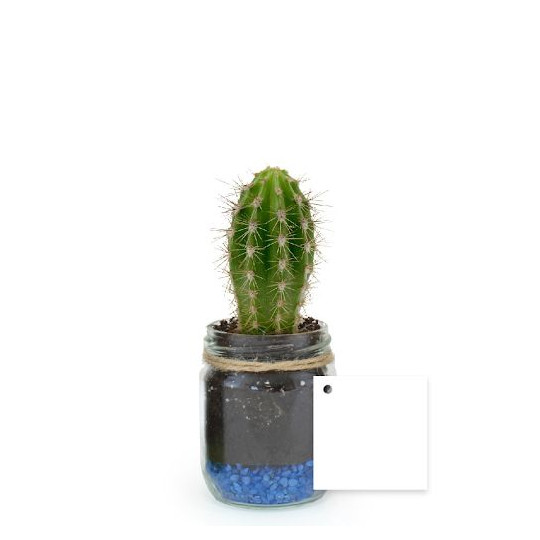 Bocal plante personnalisable Ø60mm avec gravier – Goodie écologique assemblé en Anjou | BCM Goodies