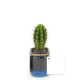 Bocal plante personnalisable Ø60mm avec gravier – Goodie écologique assemblé en Anjou | BCM Goodies