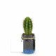 Bocal plante personnalisable Ø60mm avec gravier – Goodie écologique assemblé en Anjou | BCM Goodies