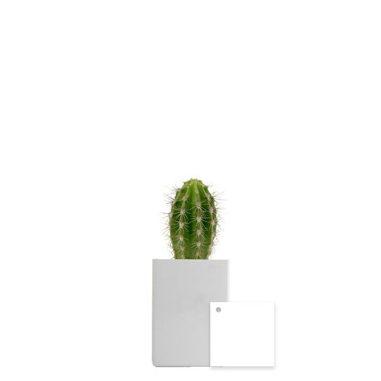 Pot ordi personnalisable – Goodie pour communication d’entreprise et accueil collaborateurs | BCM Goodies