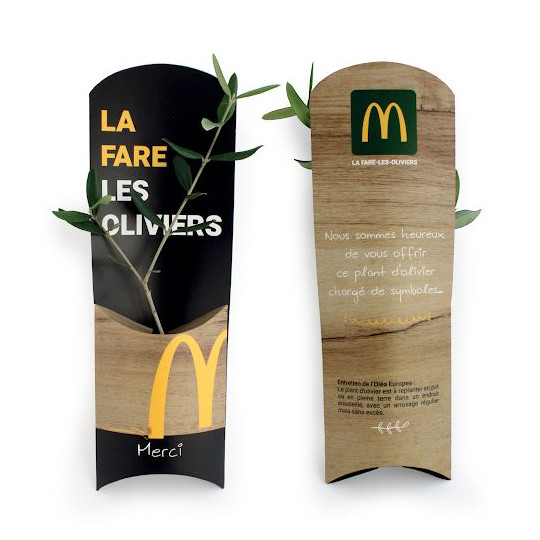 Plant d’arbre personnalisable en étui carton – Objet publicitaire écologique pour communication B2B | BCM Goodies