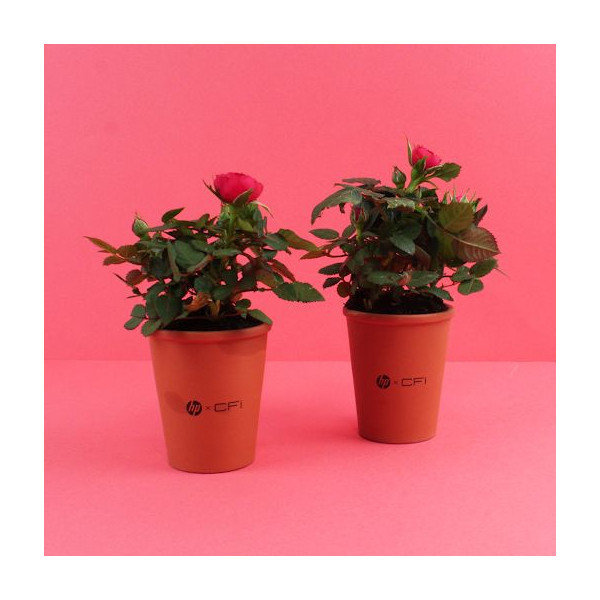 Plante fleurie en pot de terre cuite 70mm personnalisée – Cadeau d’entreprise écologique BCM Goodies