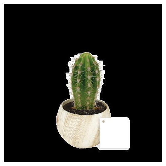 Plante en pot céramique aimanté effet bois personnalisable – Objet publicitaire écoresponsable pour communication d’entreprise