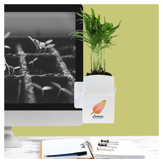 Plante Ø6cm en pot ABS avec billes d’argile – décoration bureau ordinateur – emballage papier kraft