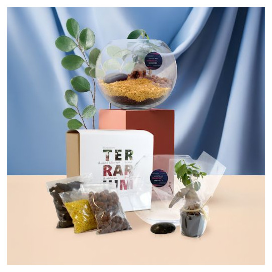 Kit Terrarium DIY Grand modèle pour entreprises – Cadeau d’entreprise éco-responsable personnalisé – BCM Goodies