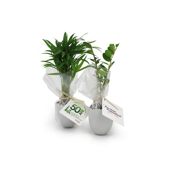 Petit plant d’arbre personnalisable dans pot œuf – Cadeau d’entreprise écologique BCM Goodies
