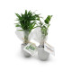 Petit plant d’arbre personnalisable dans pot œuf – Cadeau d’entreprise écologique BCM Goodies