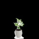 Petit plant d’arbre personnalisable dans pot œuf – Cadeau d’entreprise écologique BCM Goodies