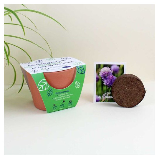 Kit de plantation personnalisable en terre cuite Ø 9cm pour entreprises – Goodies écologiques BCM Goodies