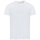 T-shirt unisexe Balfour à manches courtes en coton biologique certifié OCS de 200 g/m²