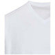 T-shirt unisexe en coton bio certifié OCS Balfour à manches courtes et col en V de 200 g/m²