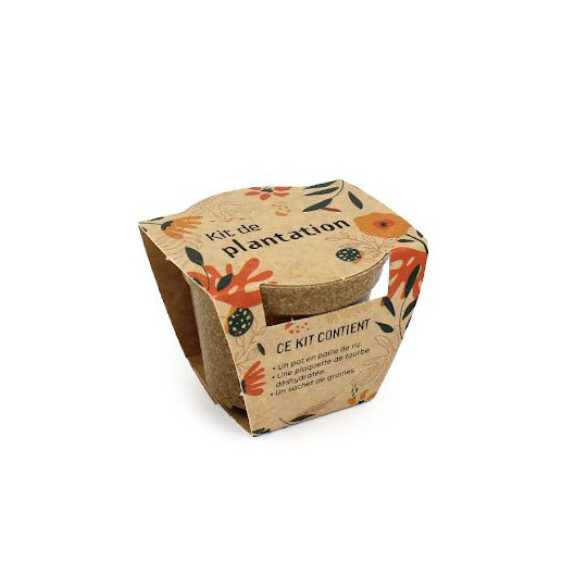 Kit plantation pot paille de riz standard – Goodies écologiques pour entreprises | BCM Goodies