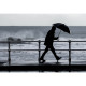 Parapluie publicitaire personnalisable ALBERT en pongee 190T avec ouverture automatique - BCM Goodies