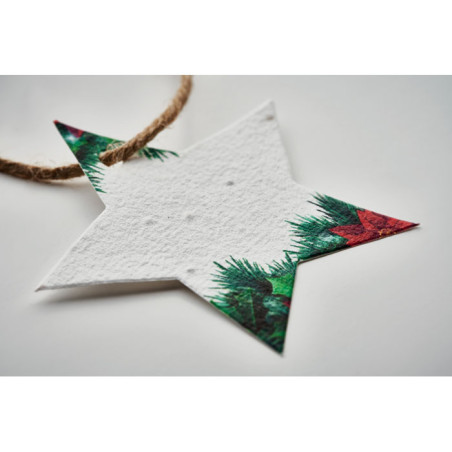 Décoration en papier semences STARSEED Personnalisable | BCM Goodies - 5