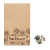 Graines de tournesol GIRASOL Personnalisable | BCM Goodies - 1