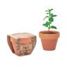 Pot avec graines de menthe MINT POT Personnalisable | BCM Goodies - 2