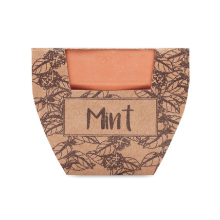 Pot avec graines de menthe MINT POT Personnalisable | BCM Goodies - 3