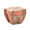 Pot avec graines de menthe MINT POT Personnalisable | BCM Goodies - 5