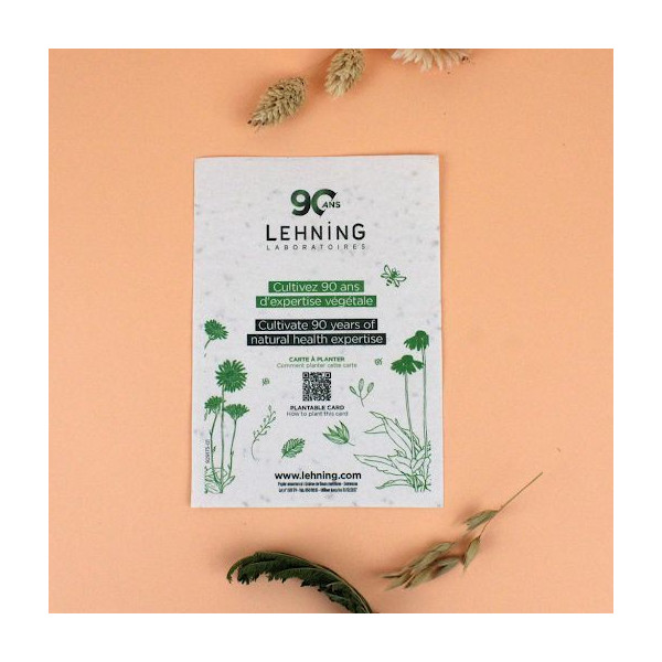 Papier graines A6 80g personnalisable - Support de communication écologique pour entreprises
