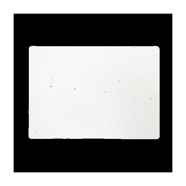 Papier à planter A5 120g personnalisable pour communication B2B et cadeaux d’entreprise – BCM Goodies