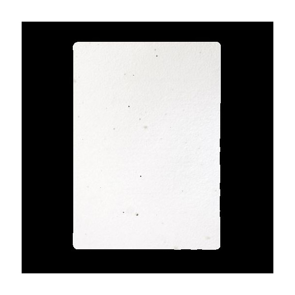 Papier graines A5 80g personnalisable – Support de communication à semer pour entreprises et événements