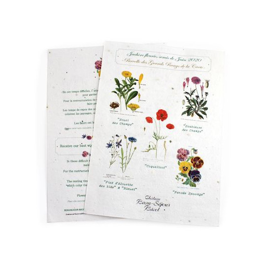Papier à planter A4 120g recto verso personnalisable – Support écologique pour communication d’entreprise