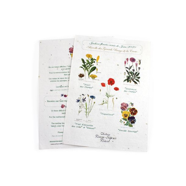 Papier à planter A4 120g recto verso personnalisable – Support écologique pour communication d’entreprise