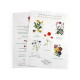 Papier à planter A4 120g recto verso personnalisable – Support écologique pour communication d’entreprise