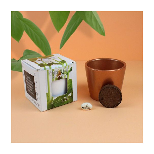 Kit de plantation graine gravée personnalisable pour entreprises - BCM Goodies