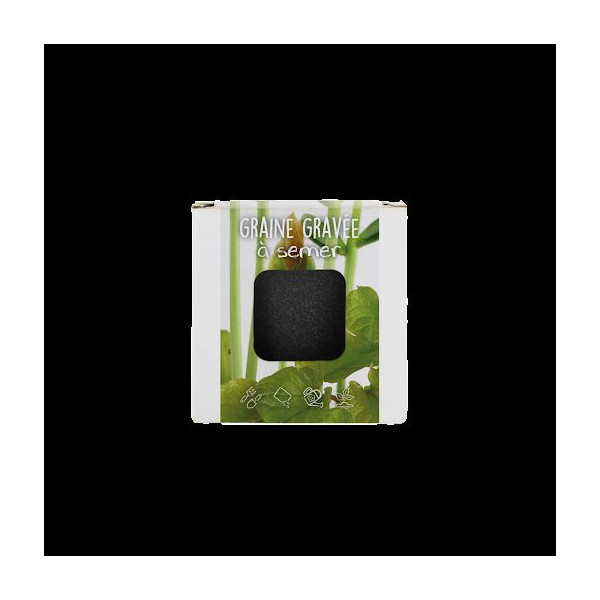 Kit de plantation graine gravée personnalisable pour entreprises - BCM Goodies