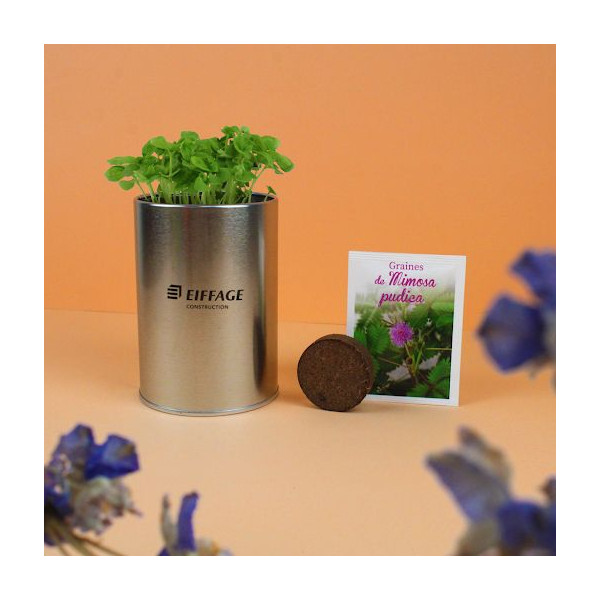 Kit de plantation Canette graines alu personnalisable – Cadeau d’entreprise écologique assemblé en Anjou, matières Europe, 125g,