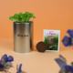 Kit de plantation Canette graines alu personnalisable – Cadeau d’entreprise écologique assemblé en Anjou, matières Europe, 125g,