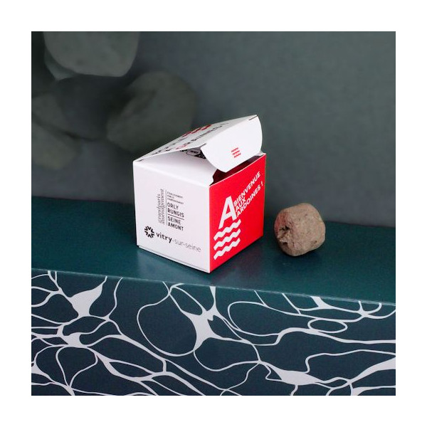 Bombe à graines en boîte personnalisable - Cadeau d’entreprise écologique BCM Goodies
