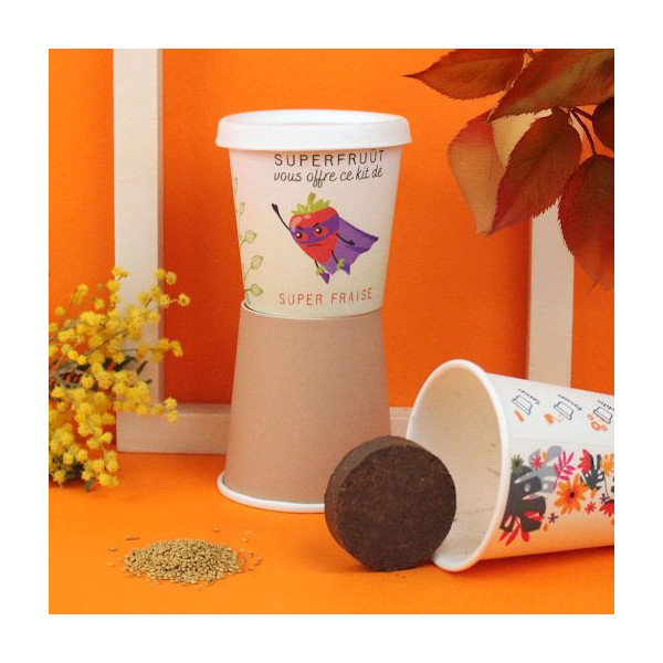 Kit de plantation Pot Carton personnalisé – Goodies écologique entreprise – BCM Goodies