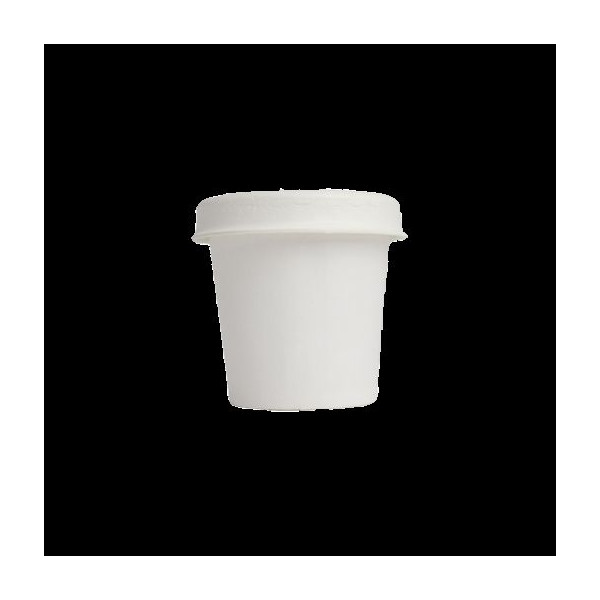 Kit de plantation Pot Carton personnalisé – Goodies écologique entreprise – BCM Goodies