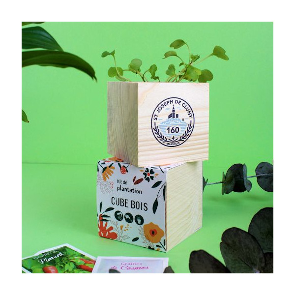 Cube bois Graines personnalisable – Cadeau d’entreprise écologique pour communication et événements professionnels | BCM Goodies