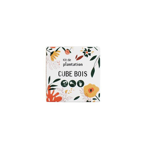 Cube bois Graines personnalisable – Cadeau d’entreprise écologique pour communication et événements professionnels | BCM Goodies