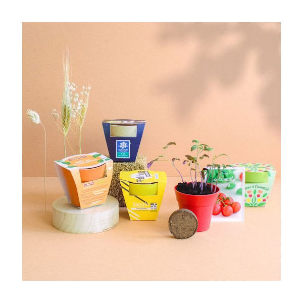 Kit de plantation Pot Bambou personnalisable – Objet publicitaire écologique pour entreprises et événements | BCM Goodies