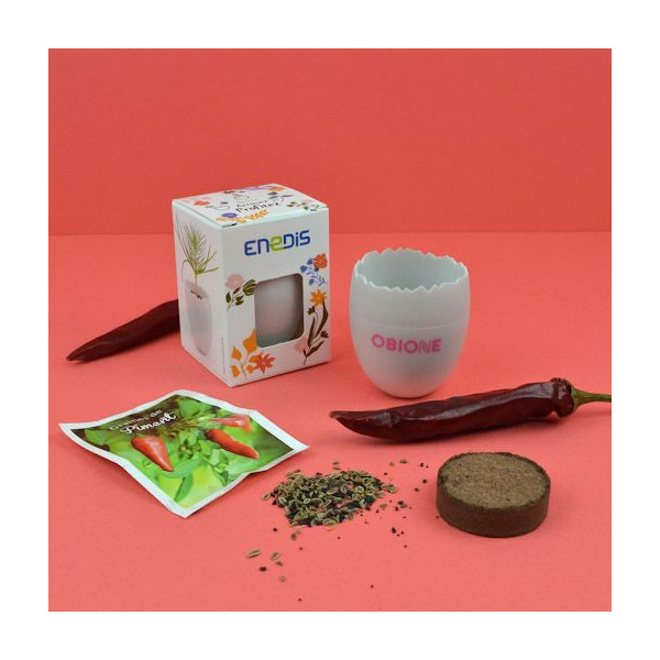 Kit œuf personnalisé – Objet publicitaire écoresponsable pour entreprises et événements professionnels | BCM Goodies