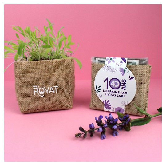 Kit pocket coco personnalisé avec sachet de culture, plaquette de coco et graines – BCM Goodies