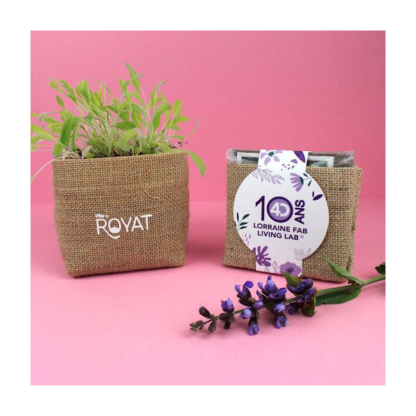 Kit pocket coco personnalisé avec sachet de culture, plaquette de coco et graines – BCM Goodies