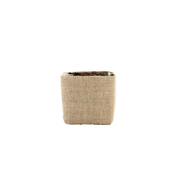 Kit pocket coco personnalisé avec sachet de culture, plaquette de coco et graines – BCM Goodies