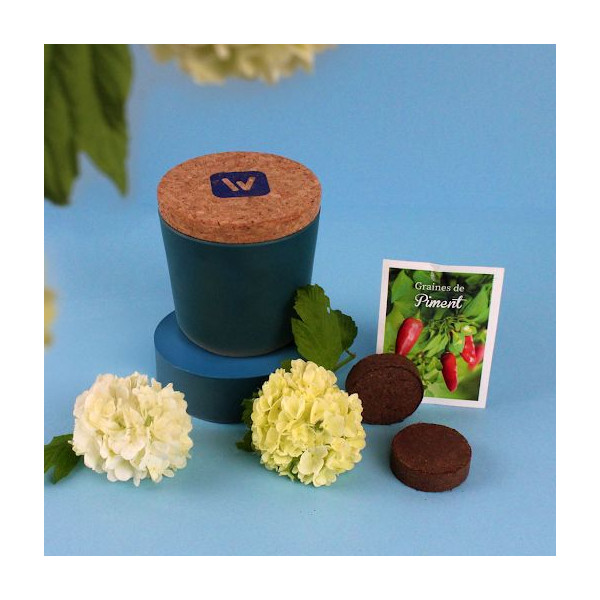 Kit de plantation écologique en pot de bambou avec graines personnalisables – BCM Goodies