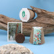 Kit plantation arbre pot fibre de bois personnalisé – Goodies écologiques pour entreprises | BCM Goodies