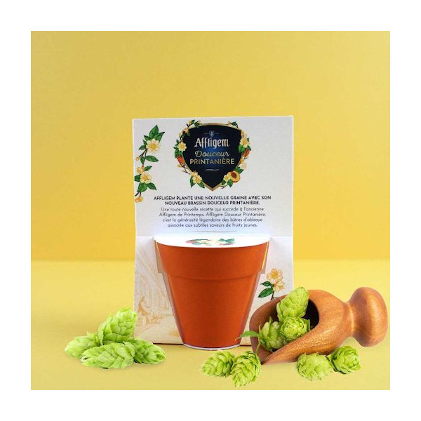 Kit pot en fibre de bambou personnalisable avec graines ou bulbes – Goodies écologiques pour entreprises | BCM Goodies